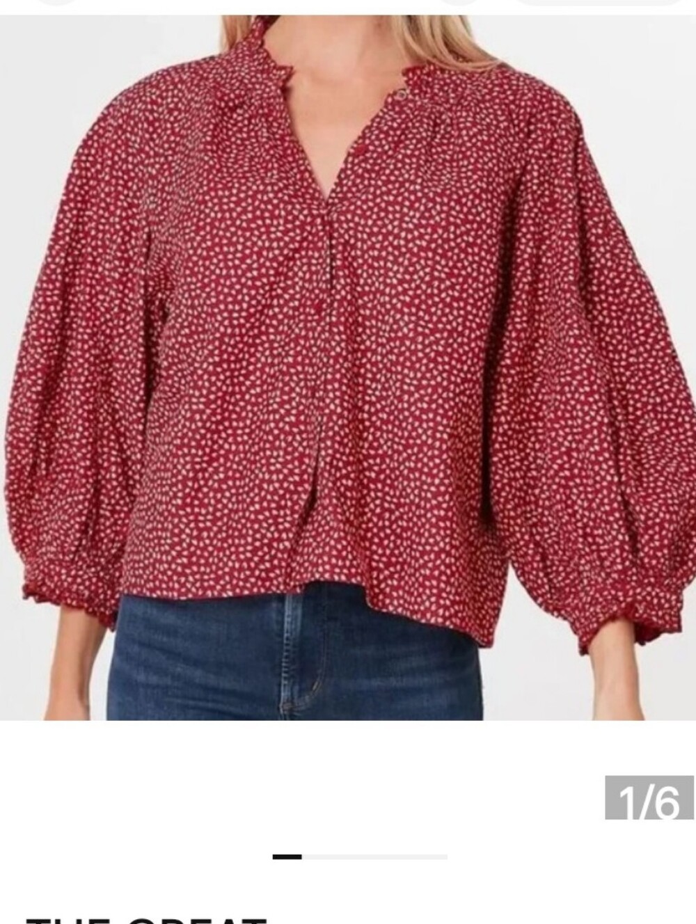 The GREAT Boutonniere Button Front Blouse Laurel Leaf Print In Rusty Red sz 1
